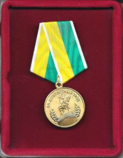 Médaille d'Honneur du Travail et Certificat d'Honneur pour la protection et la diffusion de la culture russe en Russie et à l'étranger