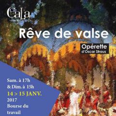 Rêve de valse à Lyon les 14 et 15 janvier 2017